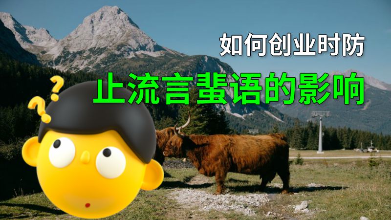 如何创业时防止流言蜚语的影响 动画制作软件有哪些