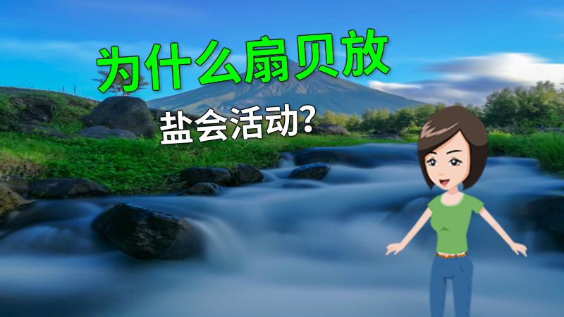 为什么扇贝放盐会活动？ 动画制作软件有哪些