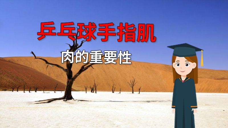 乒乓球手指肌肉的重要性 动画制作软件有哪些