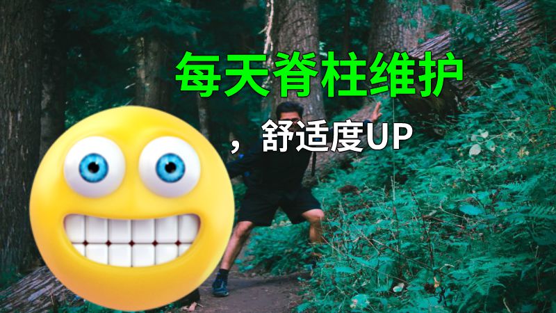 每天脊柱维护，舒适度UP 动画制作软件有哪些