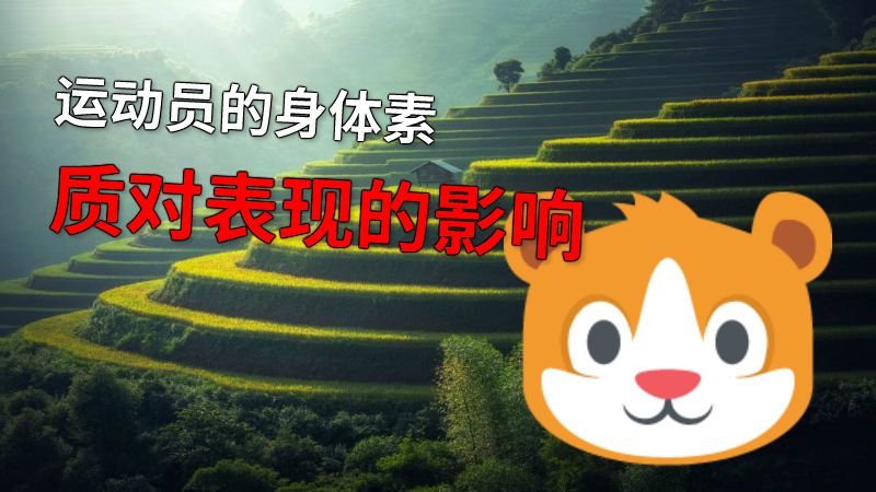 运动员的身体素质对表现的影响 动画制作软件有哪些