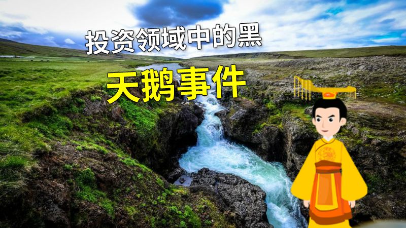 投资领域中的黑天鹅事件 动画制作软件有哪些