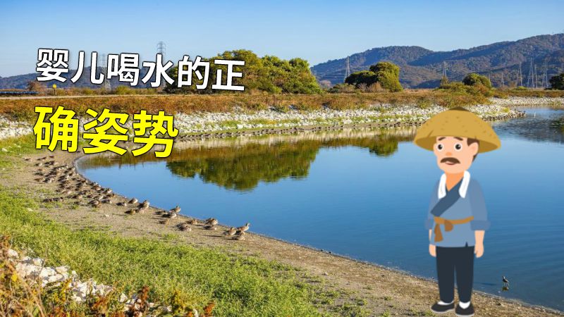 婴儿喝水的正确姿势 动画制作软件有哪些