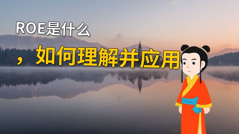 ROE是什么，如何理解并应用 动画制作软件有哪些