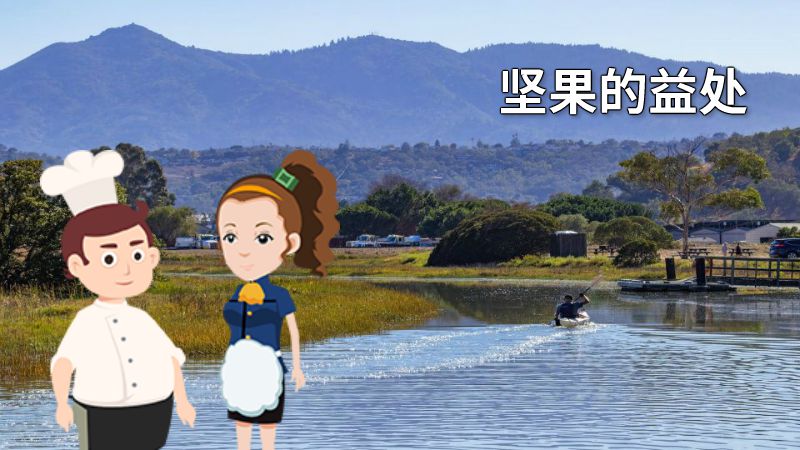 坚果的益处 动画制作软件有哪些