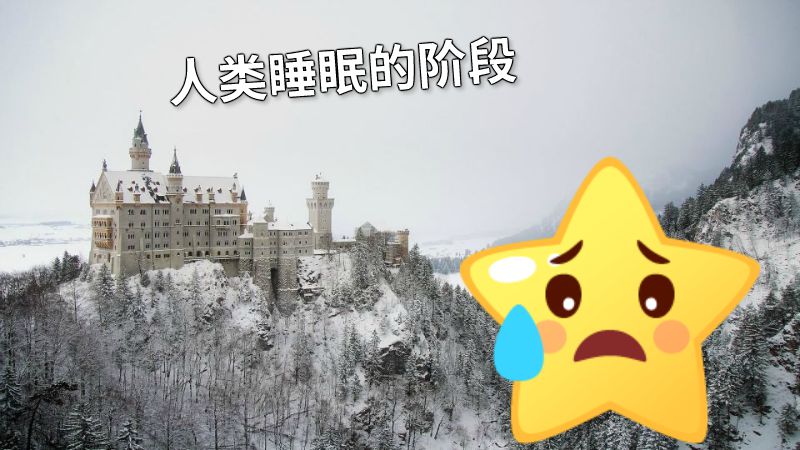 人类睡眠的阶段 动画制作软件有哪些