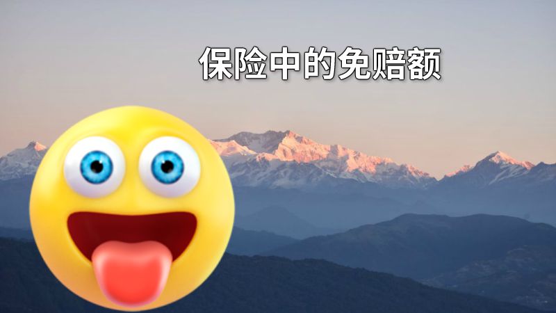 保险中的免赔额 动画制作软件有哪些