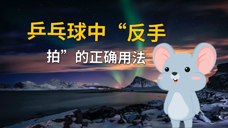 乒乓球中“反手拍”的正确用法 动画制作软件有哪些