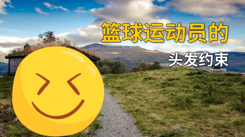 篮球运动员的头发约束 动画制作软件有哪些