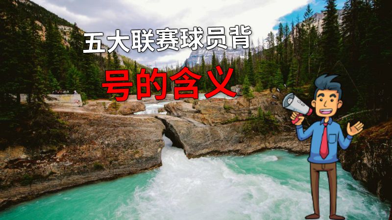 五大联赛球员背号的含义 动画制作软件有哪些