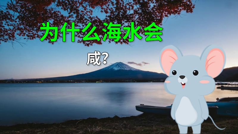 为什么海水会咸？ 动画制作软件有哪些