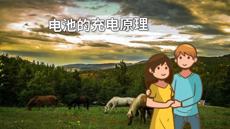 电池的充电原理 动画制作软件有哪些