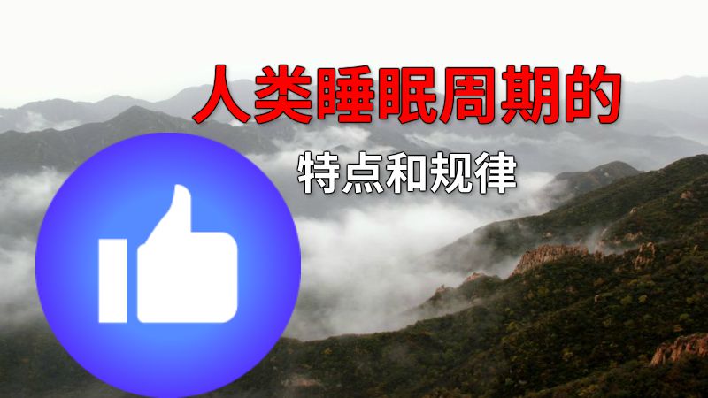 人类睡眠周期的特点和规律 动画制作软件有哪些