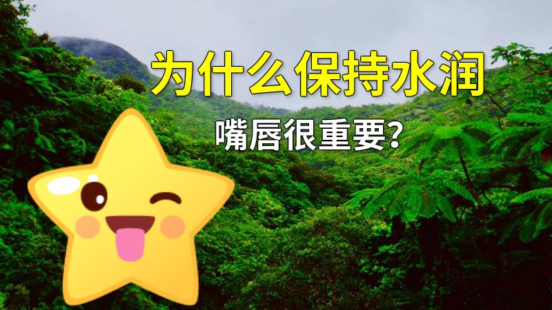 为什么保持水润嘴唇很重要？ 动画制作软件有哪些