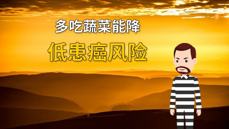 多吃蔬菜能降低患癌风险 动画制作软件有哪些