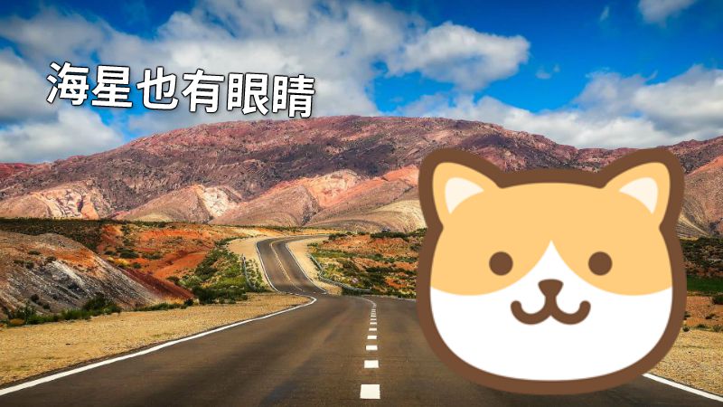 海星也有眼睛 动画制作软件有哪些