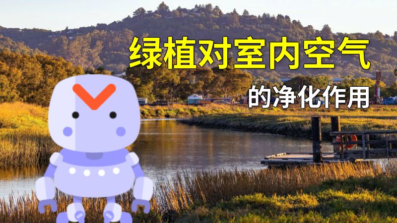 绿植对室内空气的净化作用 动画制作软件有哪些