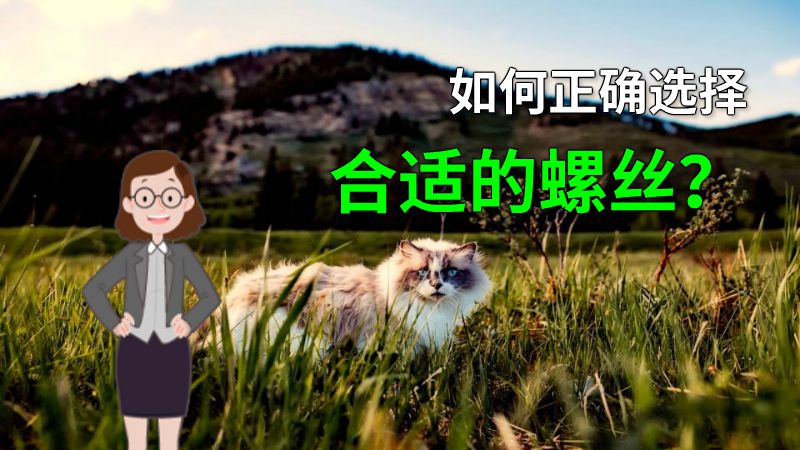 如何正确选择合适的螺丝？ 动画制作软件有哪些