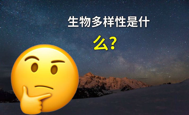 生物多样性是什么？ 动画制作软件有哪些