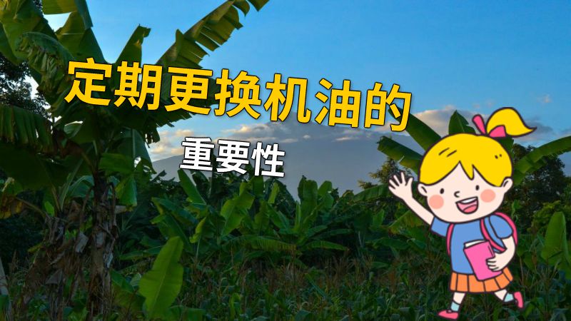 定期更换机油的重要性 动画制作软件有哪些