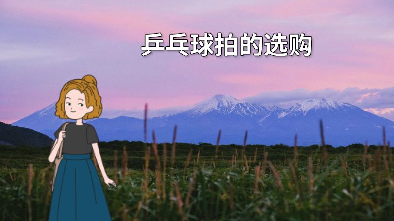 乒乓球拍的选购 动画制作软件有哪些