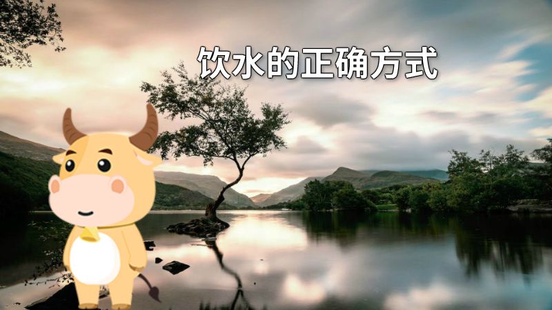 饮水的正确方式 动画制作软件有哪些