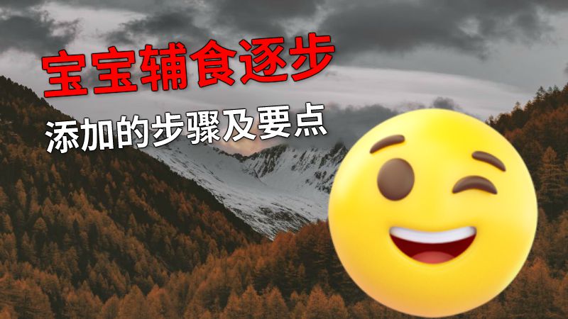 宝宝辅食逐步添加的步骤及要点 动画制作软件有哪些