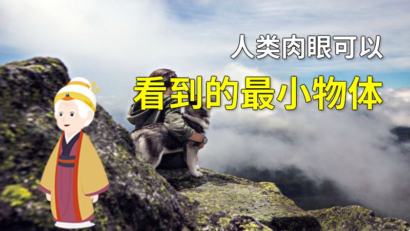 人类肉眼可以看到的最小物体 动画制作软件有哪些