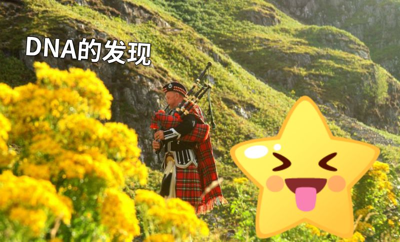 DNA的发现 动画制作软件有哪些