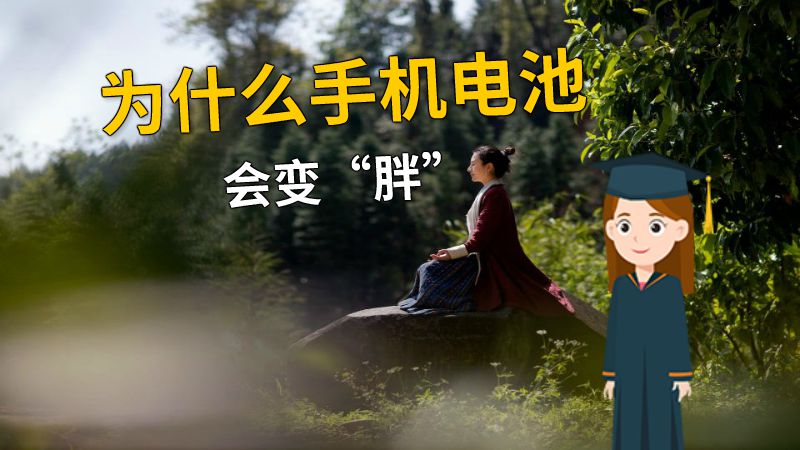 为什么手机电池会变“胖” 动画制作软件有哪些