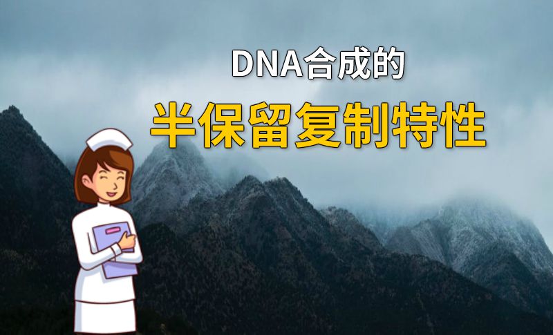 DNA合成的半保留复制特性 动画制作软件有哪些