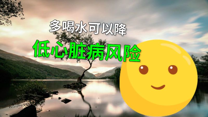 多喝水可以降低心脏病风险 动画制作软件有哪些