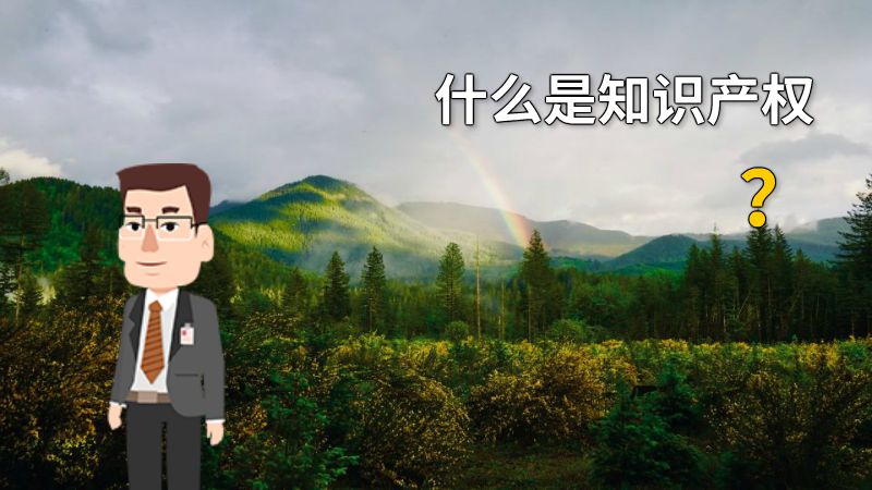 什么是知识产权？ 动画制作软件有哪些