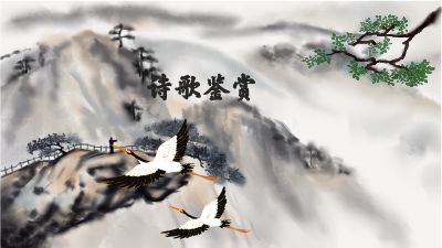 1115 动画制作软件有哪些