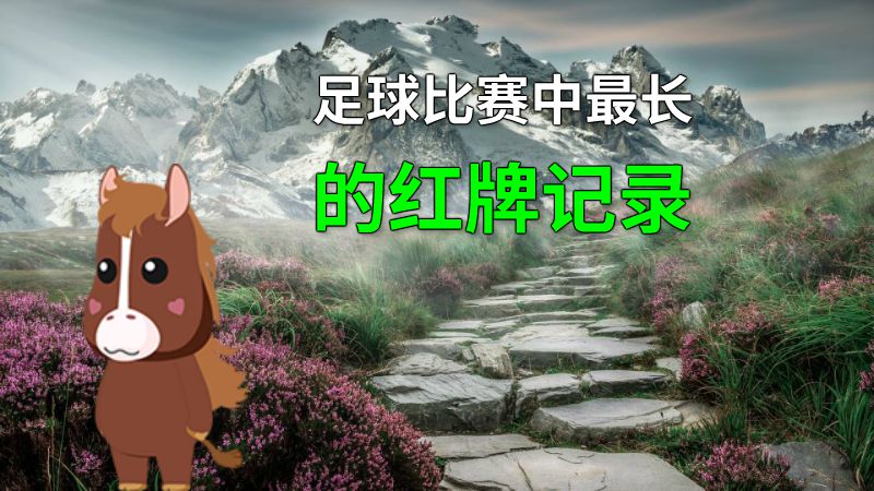 足球比赛中最长的红牌记录 动画制作软件有哪些