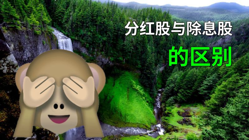 分红股与除息股的区别 动画制作软件有哪些