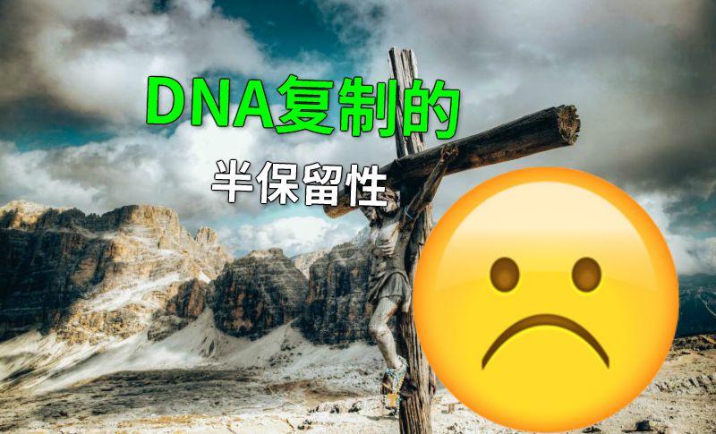 DNA复制的半保留性 动画制作软件有哪些