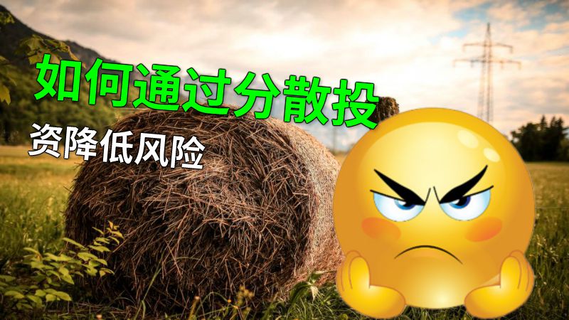 如何通过分散投资降低风险 动画制作软件有哪些