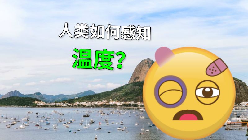 人类如何感知温度？ 动画制作软件有哪些