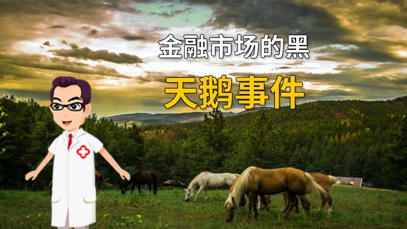 金融市场的黑天鹅事件 动画制作软件有哪些