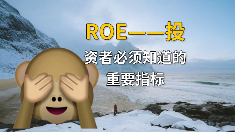 ROE——投资者必须知道的重要指标 动画制作软件有哪些