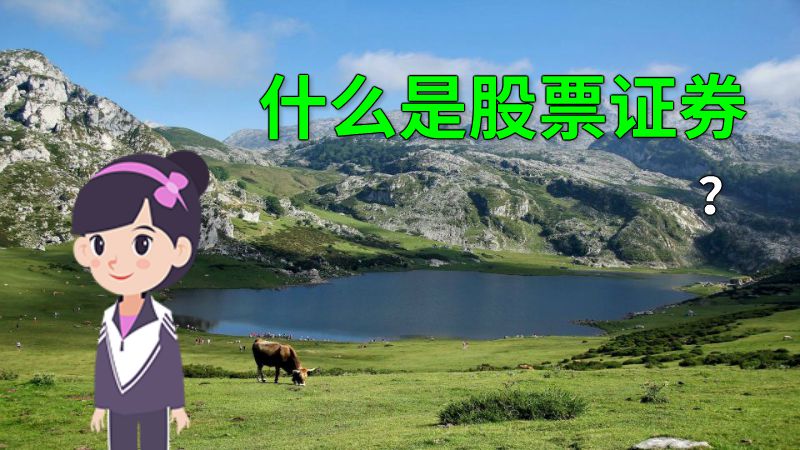 什么是股票证券？ 动画制作软件有哪些