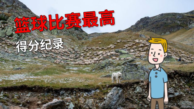 篮球比赛最高得分纪录 动画制作软件有哪些