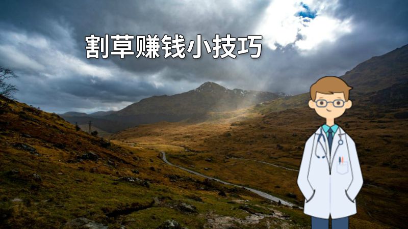 割草赚钱小技巧 动画制作软件有哪些