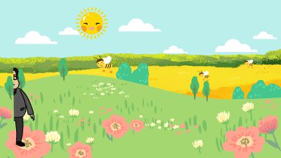 草地美景.am 动画制作软件有哪些