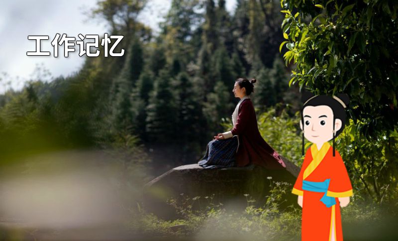 工作记忆 动画制作软件有哪些