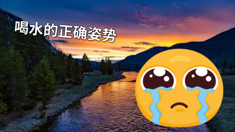 喝水的正确姿势 动画制作软件有哪些