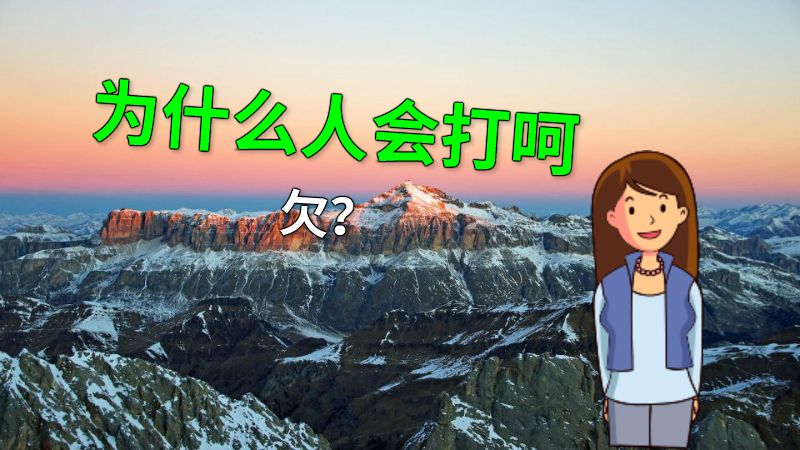 为什么人会打呵欠？ 动画制作软件有哪些