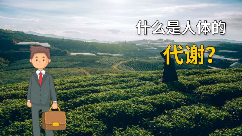 什么是人体的代谢？ 动画制作软件有哪些