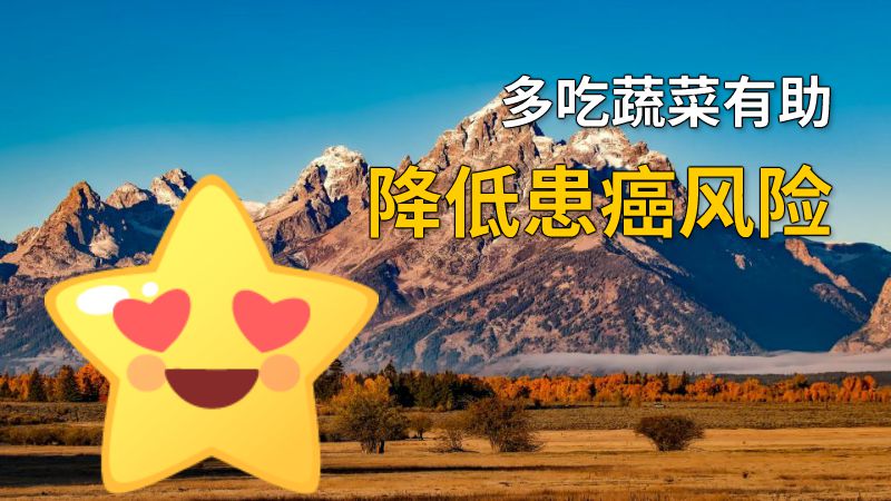 多吃蔬菜有助降低患癌风险 动画制作软件有哪些